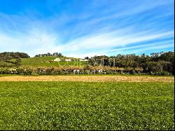 SOURAÏDE, NEAR ESPELETTE – A SPACIOUS PERIOD PROPERTY