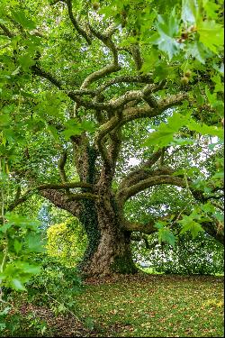 A sumptuous 18th century chateau in 70 hectares of park and woodland