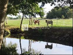 Magnificent mill in exceptional setting