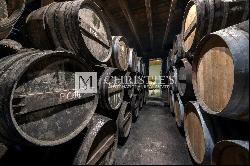 Attractive Cognac property for sale