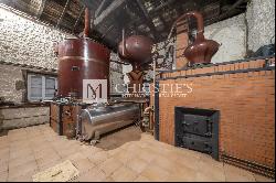 Attractive Cognac property for sale