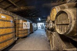 Attractive Cognac property for sale