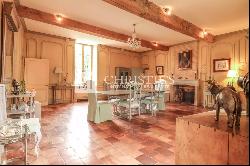 Spectactular Chateau with 79 acres of meadows, & hobby vineyard close to Bazas