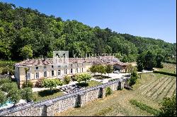 Sale Chateau in Bordeaux. Hobby Vineyard