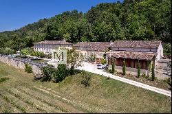 Sale Chateau in Bordeaux. Hobby Vineyard