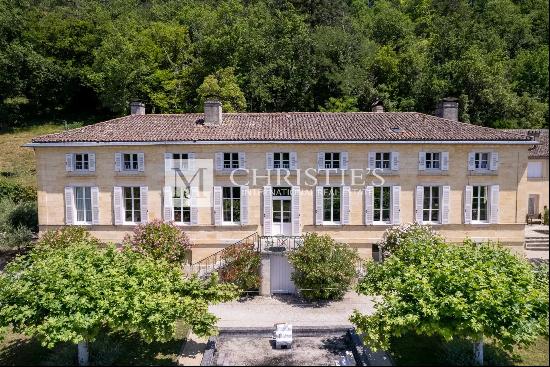 Sale Chateau in Bordeaux. Hobby Vineyard