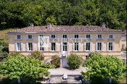 Sale Chateau in Bordeaux. Hobby Vineyard