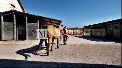 For Sale beautiful equestrian domaine near Poitiers