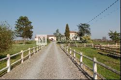 Lovely vineyard estate for sale set up on 11 ha with 3 ha of vine.