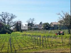 Turnkey hobby vineyard estate of 3,5 ha with pretty residence