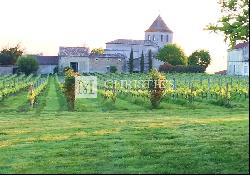 Turnkey hobby vineyard estate of 3,5 ha with pretty residence