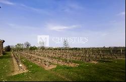 For sale in Nerac (Lot et Garonne) impressive turn-key vineyard estate