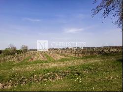 For sale in Nerac (Lot et Garonne) impressive turn-key vineyard estate