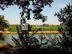 Beautiful vineyard estate for sale of about 31,5ha in the Saint-Emilionnais region