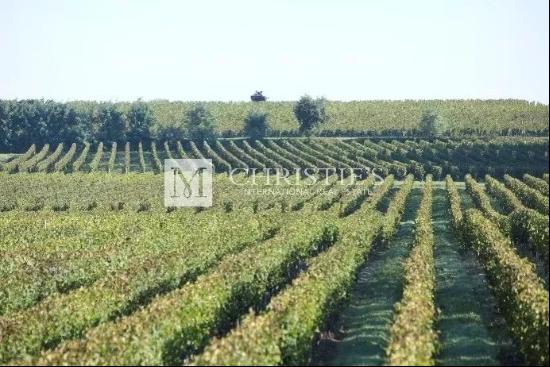 Beautiful vineyard estate for sale of about 31,5ha in the Saint-Emilionnais region