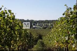 Beautiful vineyard estate for sale of about 31,5ha in the Saint-Emilionnais region