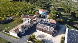 For sale Bergerac - Superb, well-kept vineyard estate with over 60 ha  of organically gro