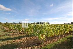 For sale Bergerac - Superb, well-kept vineyard estate with over 60 ha  of organically gro