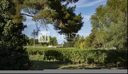 Very well-located Bordeaux vineyard estate