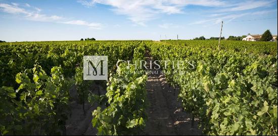 Very well-located Bordeaux vineyard estate