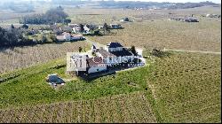 Vineyard estate for sale  - 10 ha of vines in one single block