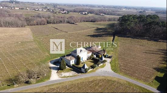 Vineyard estate for sale  - 10 ha of vines in one single block