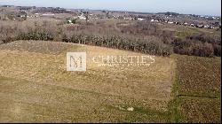 Vineyard estate for sale  - 10 ha of vines in one single block