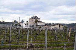 Vineyard estate for sale  - 10 ha of vines in one single block