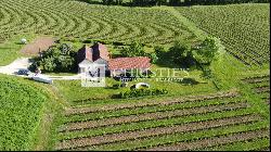 For sale organic vineyard in AOC Pécharmant and Rosette