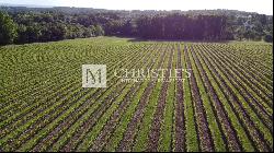 For sale organic vineyard in AOC Pécharmant and Rosette