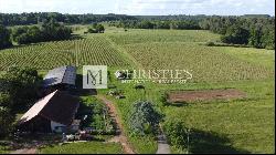 For sale organic vineyard in AOC Pécharmant and Rosette