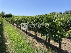 For sale 20 minutes from Bergerac, Beautiful family vineyard estate of 28ha in organic fa