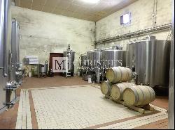 For sale Vineyard of 9 ha of AOC Haut Médoc - Quality production facilities