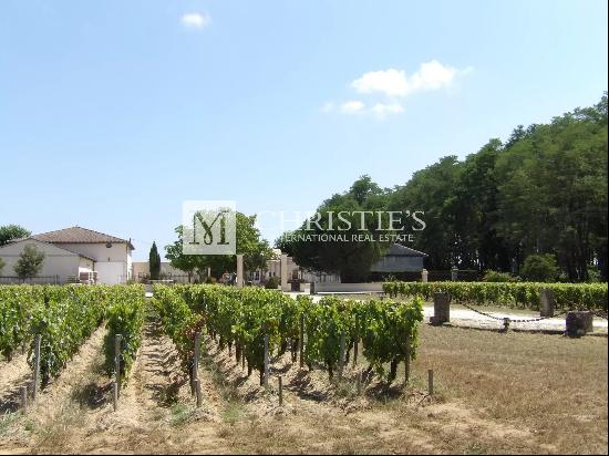 For sale Vineyard of 9 ha of AOC Haut Medoc - Quality production facilities