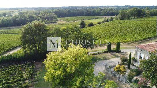 For sale beautiful 18-ha vinyard estate in a dominant position overlooking the vineyard v