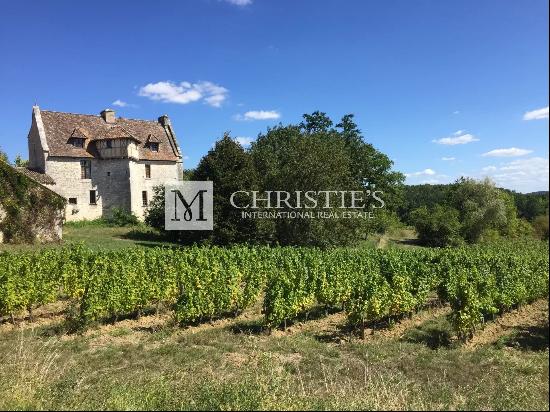 Superbly renovated C14th historic Chateau + Vineyard nr Bergerac