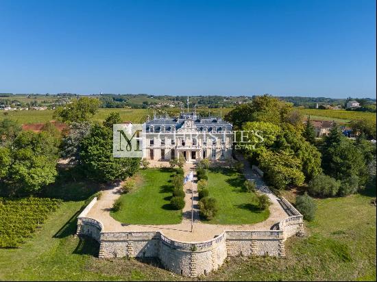 Beautiful vineyard with 19th-C. chateau overlooking the river for sale - Ideal for a wine