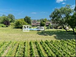 For sale beautiful turnkey lifestyle passion vineyard estate on the banks of the Dordogne