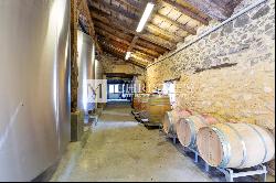 For sale Entre-Deux-Mers very attractive vineyard estate with excellent terroir, quality 