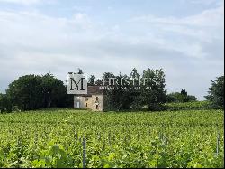 Exclusive:  Entre-Deux-Mers Magnificent turnkey historic vineyard estate for sale