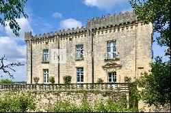 Splendid Renaissance Chateau with its park near Angoulême