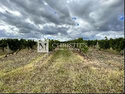 For sale, at Bordeaux, Family vineyard estate of 13ha, AOC Bergerac