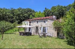 Country House with 2 ECOLOGICAL cottages, lake & swimming Pool , 45 acres of vallonous la