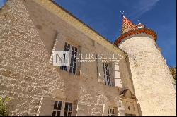 Majestic Chateau with guest house & 2 acres of land, close to Agen