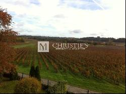 For sale beautiful vineyard estate - Saint-Emilion satellite with luxury Château