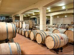 Magnificent turnkey vineyard estate for sale - AOC Côtes de Duras with wine stock included