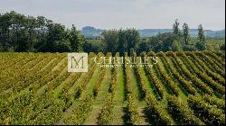 Magnificent turnkey vineyard estate for sale - AOC Côtes de Duras with wine stock included