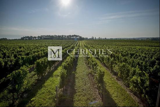 Magnificent turnkey vineyard estate for sale - AOC Côtes de Duras with wine stock included