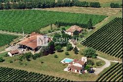 Magnificent turnkey vineyard estate for sale - AOC Côtes de Duras with wine stock included