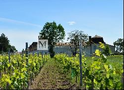 Sumptuous Chartreuse estate with vineyard near Saint-Emilion